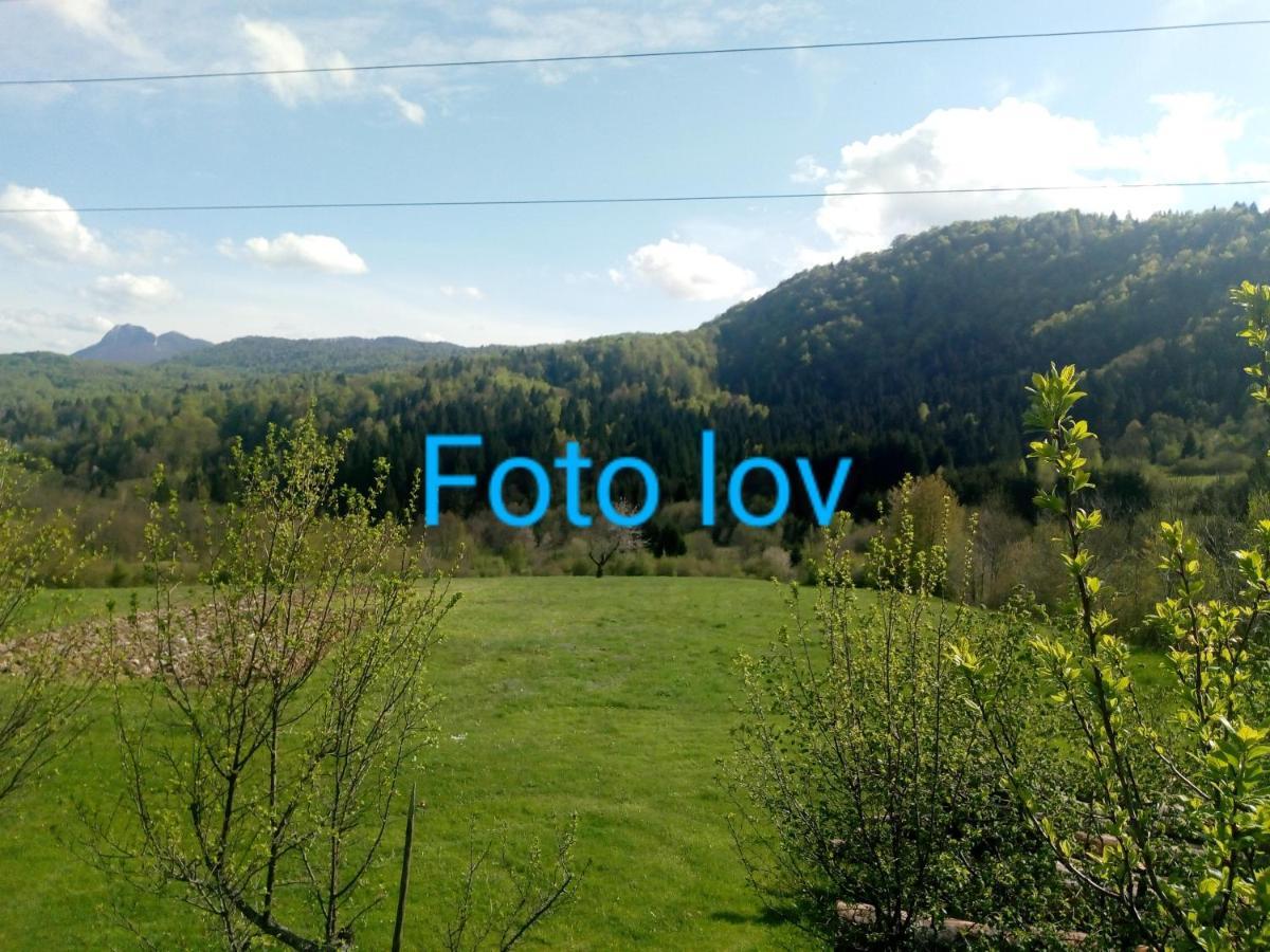 Apartman Gomirje Apartment Vrbovsko Luaran gambar